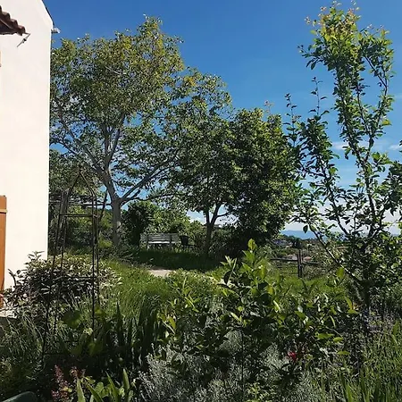 Stone House Studio With Herb Garden Apartman